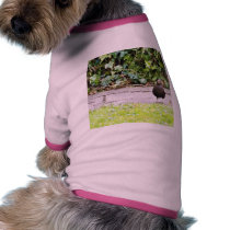 Blackbird Female Eating Berries pet clothing by lifesphere Blackbird Female Eating Berries pet clothing