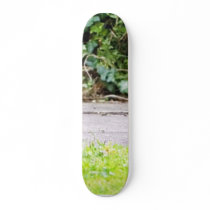 Blackbird Female Eating Berries Skate Deck