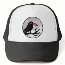 Blackbird Goth Raven/Crow Mesh Hat