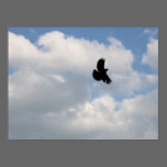 Blackbird In Flight posters