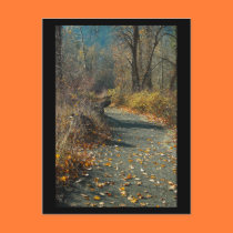 Blackbird Island, Leavenworth WA Mini Print postcards