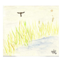 Blackbird Marsh posters