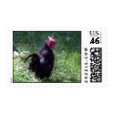 Blackbird Oct 2004 postage