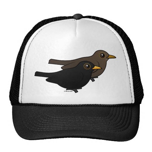 Blackbird Pair Hat