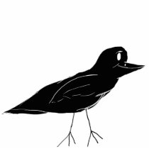 Blackbird Photo Sculpture photo sculptures