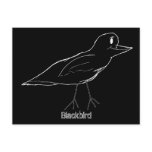 Blackbird Postcard (Black)
