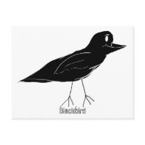 Blackbird Postcard (White) postcards