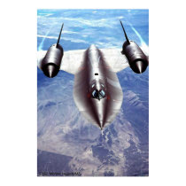 BLACKBIRD posters