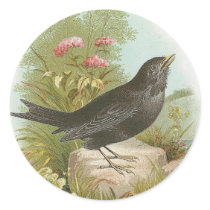 Blackbird stickers by MyOtherPlanet Blackbird stickers