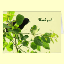 Blackbird Thank You cards