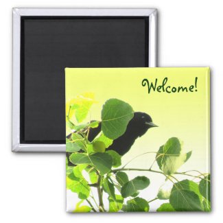 Blackbird Welcome