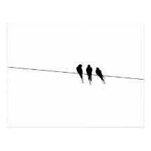 Blackbirds Silhouette on Wire Postcard
