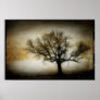 Blackbranch Hollow Poster