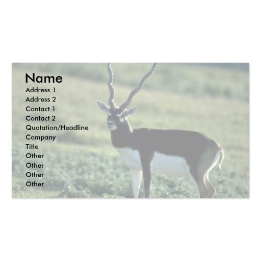 Blackbuck antelope business card template