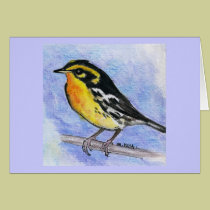 Blackburnian Warbler cards