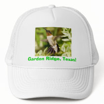 Blackchinned Hummingbird hats