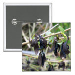 Blackened Leaves Button