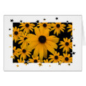 Blackeye Susan card by bkang22 Blackeye Susan card