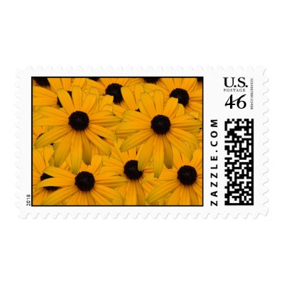 blackeye susan Postage