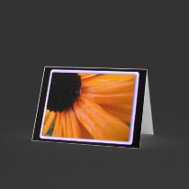 blackeyed Susan cards by stucker111 blackeyed Susan cards