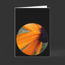 Blackeyed Susan cards by stucker111 Blackeyed Susan cards