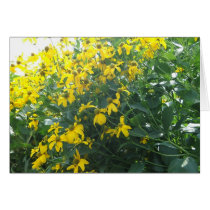 Blackeyed Susans cards by MamaRugRat Blackeyed Susans cards