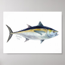 Blackfin Tuna fish poster.