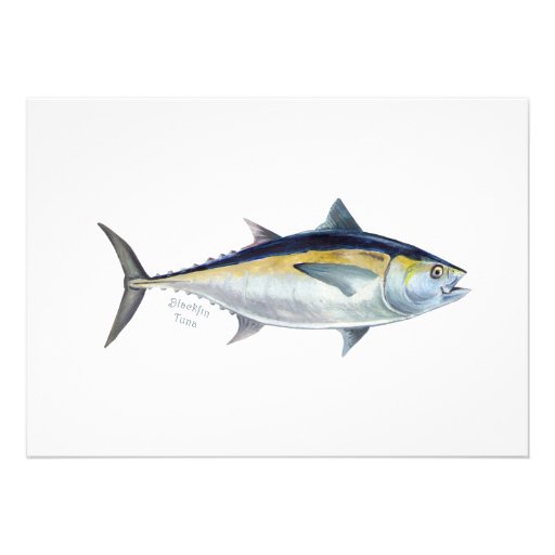 Blackfin Tuna invitation