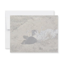 Blackfooted Ferret Custom Invitations