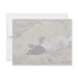 Blackfooted Ferret Custom Invitations