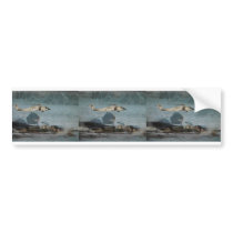 BLACKHAWK BUMPER STICKERS