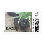 Blackie in the Garden Postage