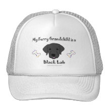 BLackLab Mesh Hat