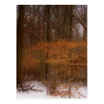 Blacklick Park Post Cards