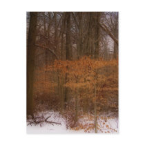 Blacklick Park postcards