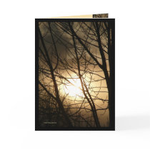 BlacknGold Greeting Cards