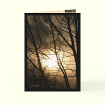 BlacknGold cards by MoiraAshleigh BlacknGold cards