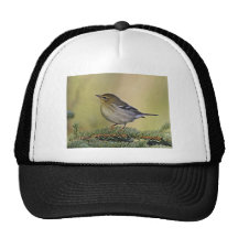 Blackpoll warbler mesh hat