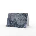 blackrose cards