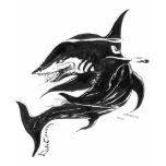 blackshark copy