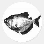 Blackskirt Tetra Stickers
