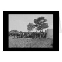 Blacksmith Shoeing Horses at Antietam 1862 cards by lc_civilwar Blacksmith Shoeing Horses at Antietam 1862 cards