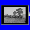 Blacksmith Shoeing Horses at Antietam 1862 cards