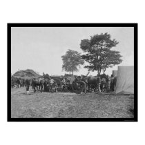 Blacksmith Shoeing Horses at Antietam 1862 posters