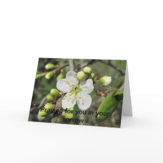 Blackthorn, Sympathy zazzle_card