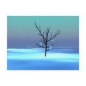 Blacktree postcards by maydb_7 Blacktree postcards