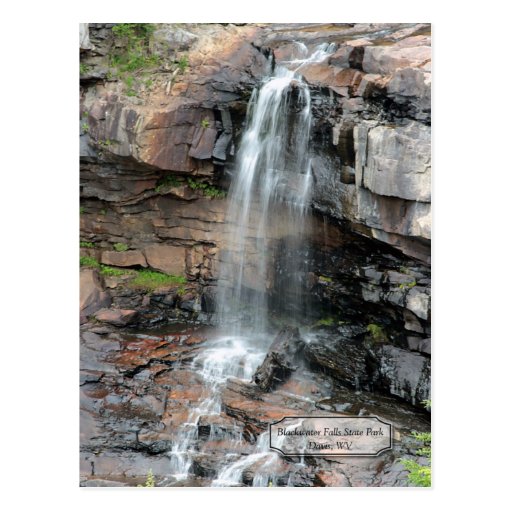 Blackwater Falls Davis WV Postcard