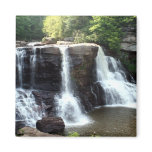 Blackwater Falls Refrigerator Magnet