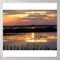 Blackwater - FRAMED PRINT