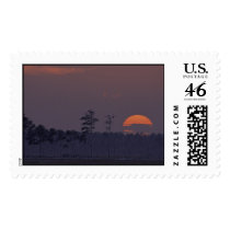 Blackwater National Wildlife Refuge   postage